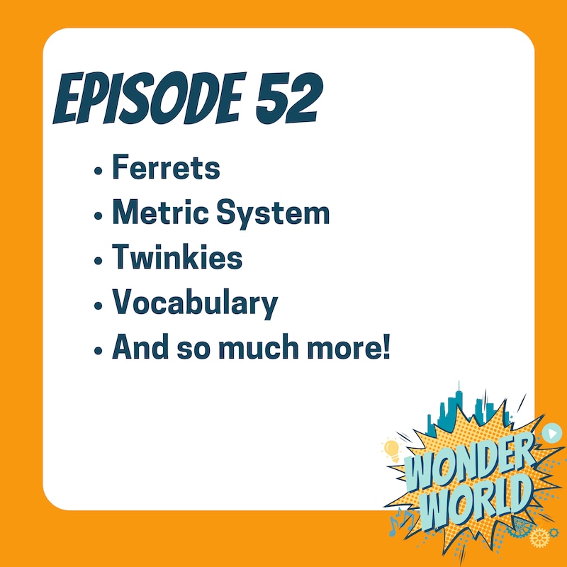Artwork for podcast The Wonder World Podcast