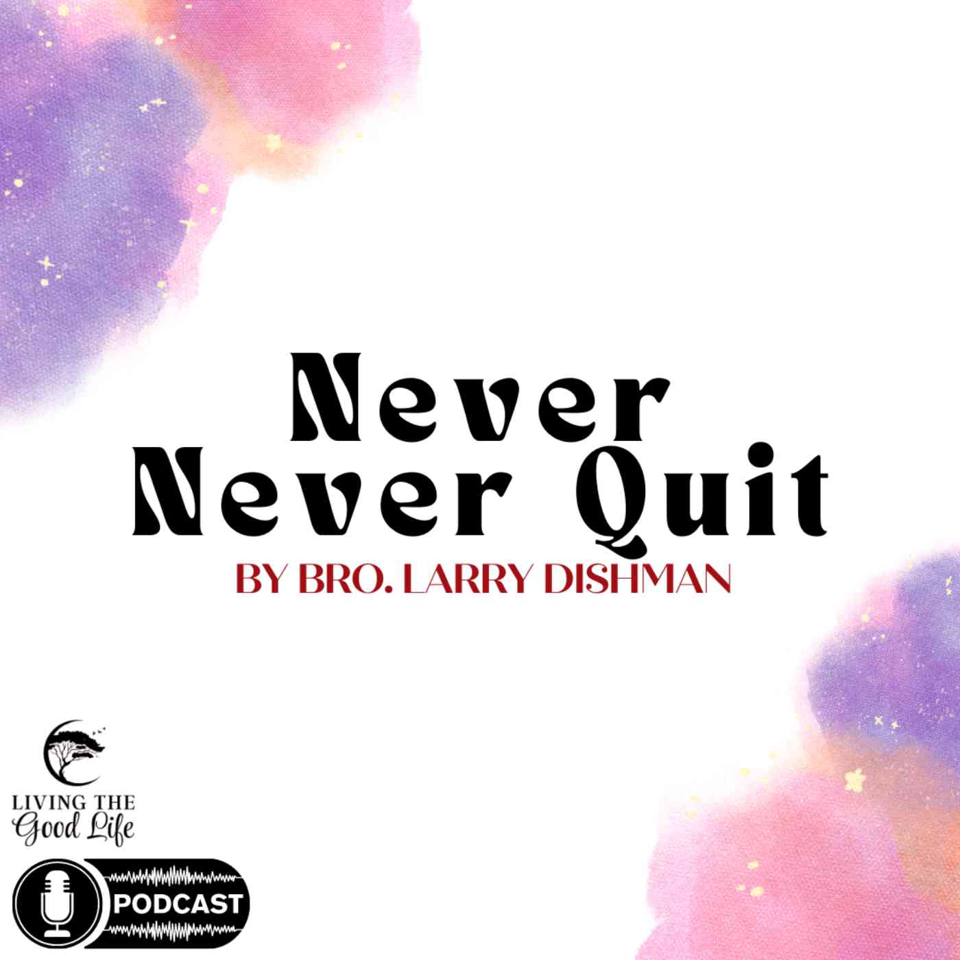 Never Never Quit episode artwork