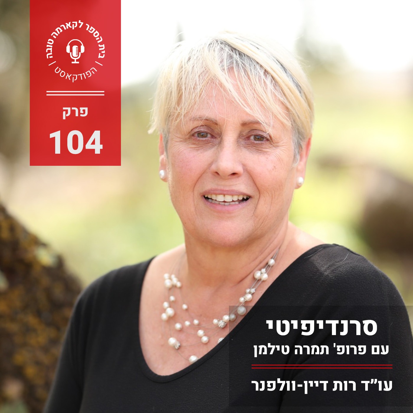 סרנדיפיטי - פרופ' תמרה טילמן episode artwork