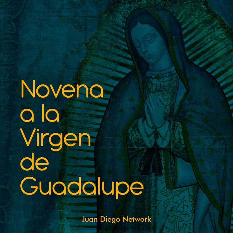 Artwork for podcast Novena a la Virgen de Guadalupe