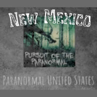 Artwork for podcast Pursuit of the Paranormal