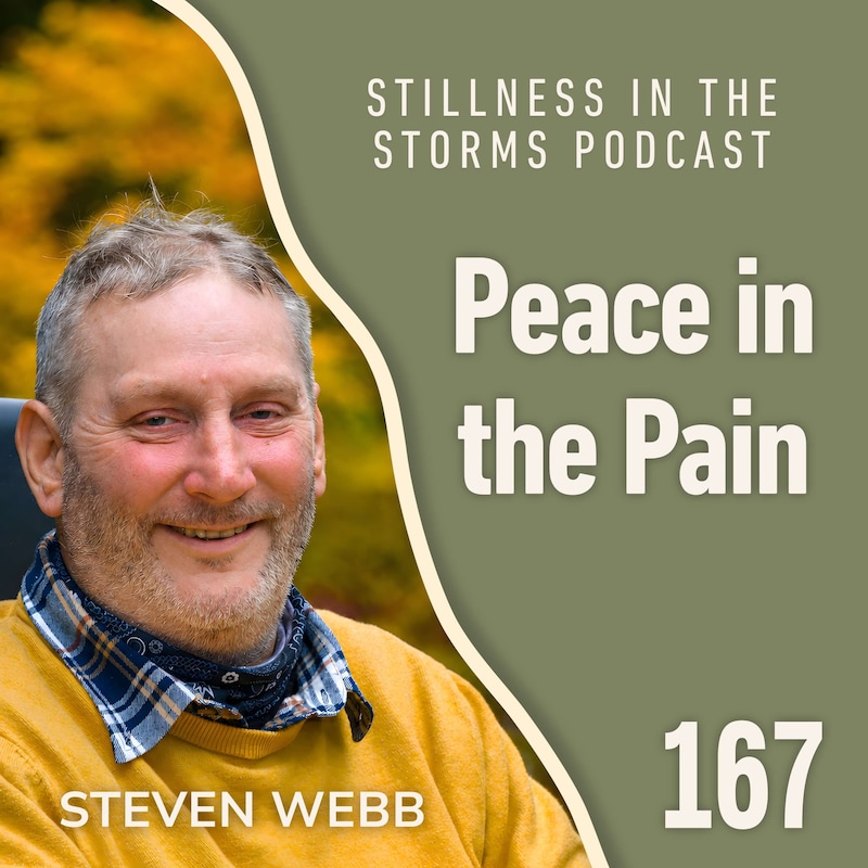 Artwork for podcast Stillness in the Storms