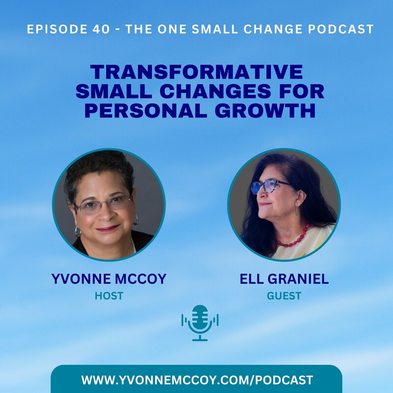 Artwork for podcast The One Small Change Podcast