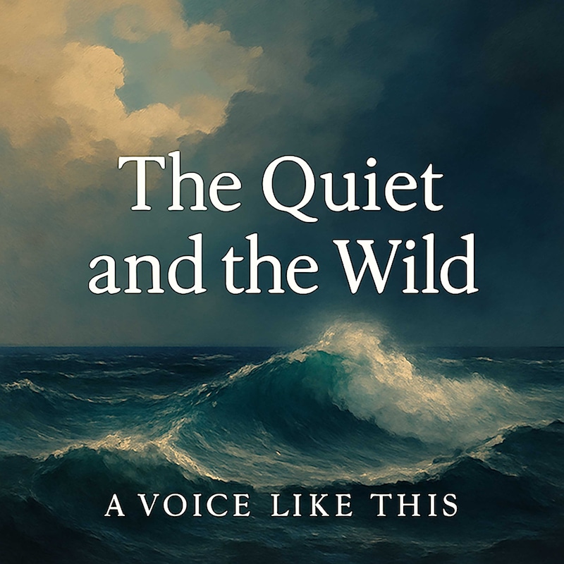 Artwork for podcast A Voice Like This
