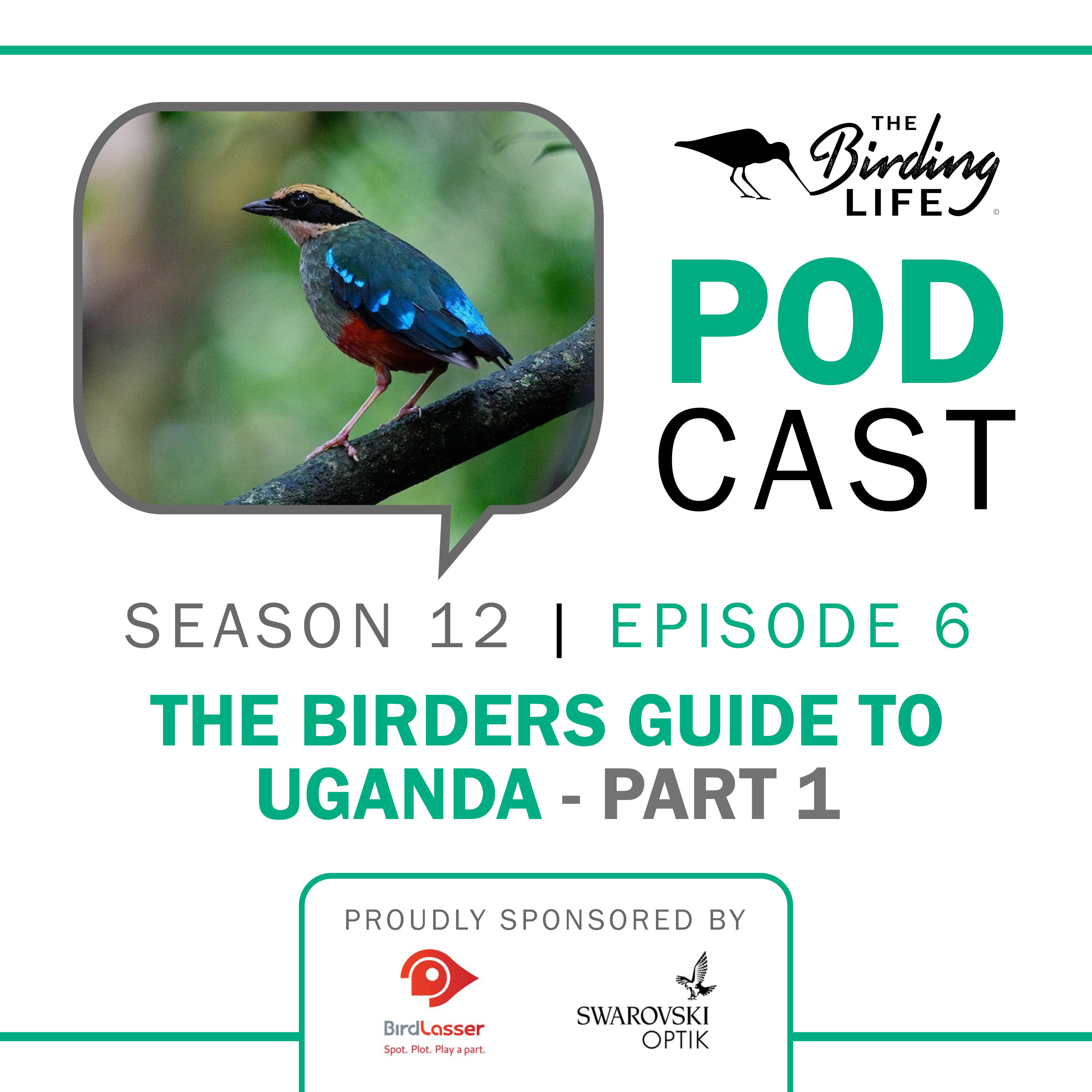 TBL Podcast Season 12 Episode 6 -The Birders Guide to Uganda Part 1