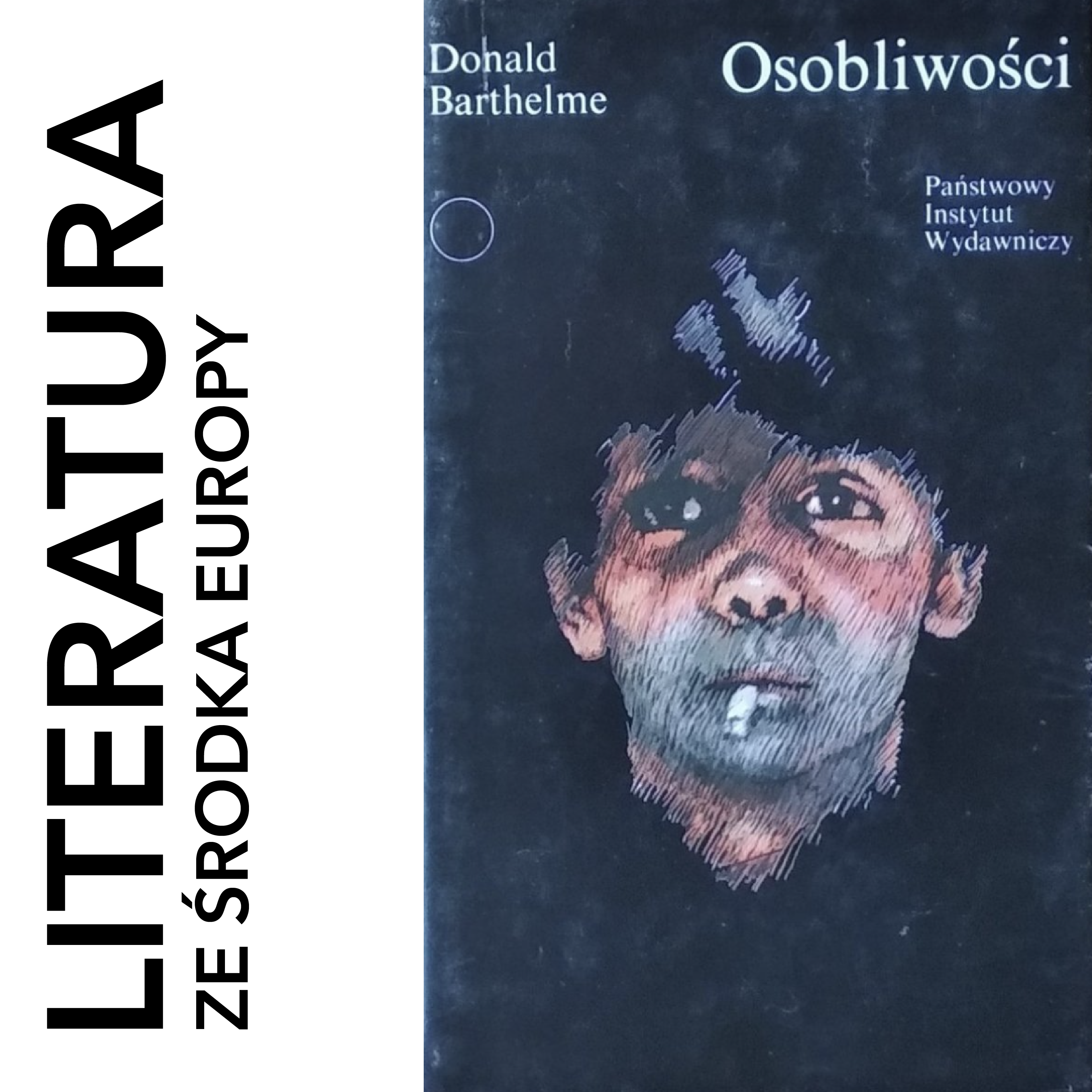 Donald Barthelme - Osobliwości (1964-1979)