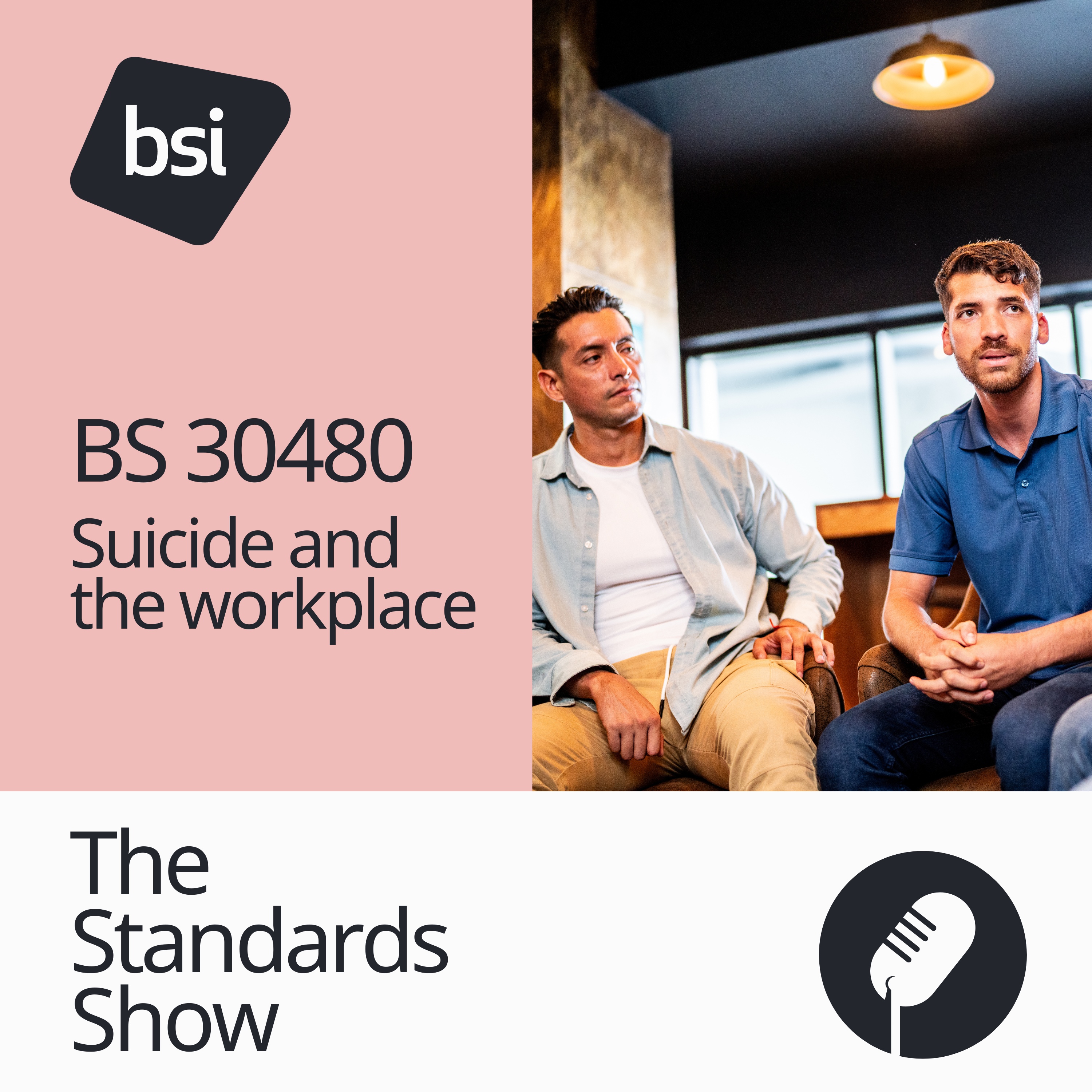 BS 30480 | Suicide and the workplace BS 30480 | Suicide and the workplace