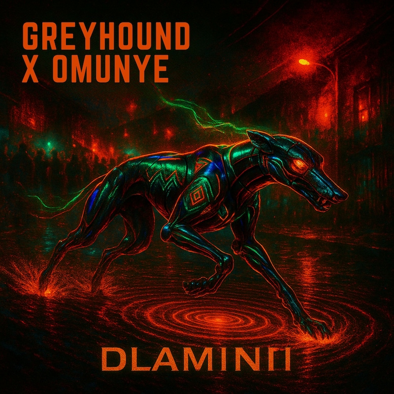 Artwork for podcast The House Of Dlaminii