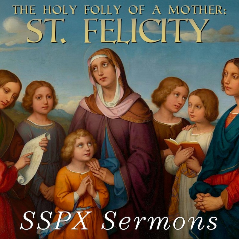 Artwork for podcast SSPX Sermons