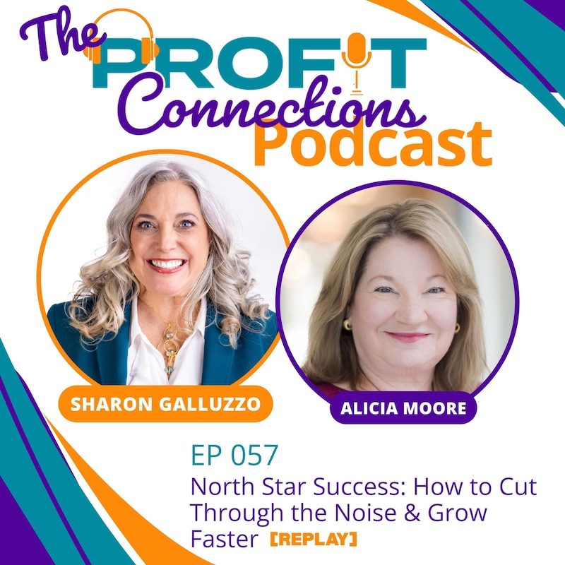 Artwork for podcast The Profit Connections Podcast