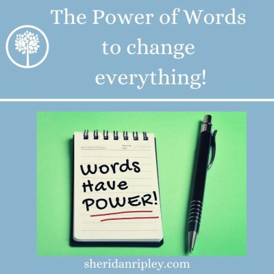 Artwork for podcast Finding Joy in the Journey