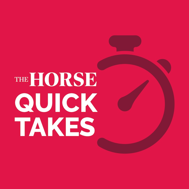 Artwork for podcast Ask The Horse