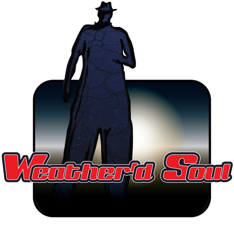 Artwork for podcast The Weather’d View