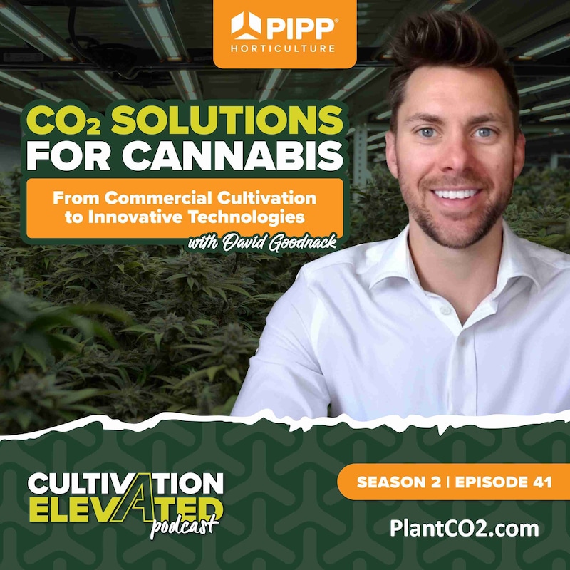 Artwork for podcast Cultivation Elevated - Indoor Farming, Cannabis Growers & Cultivators - Pipp Horticulture