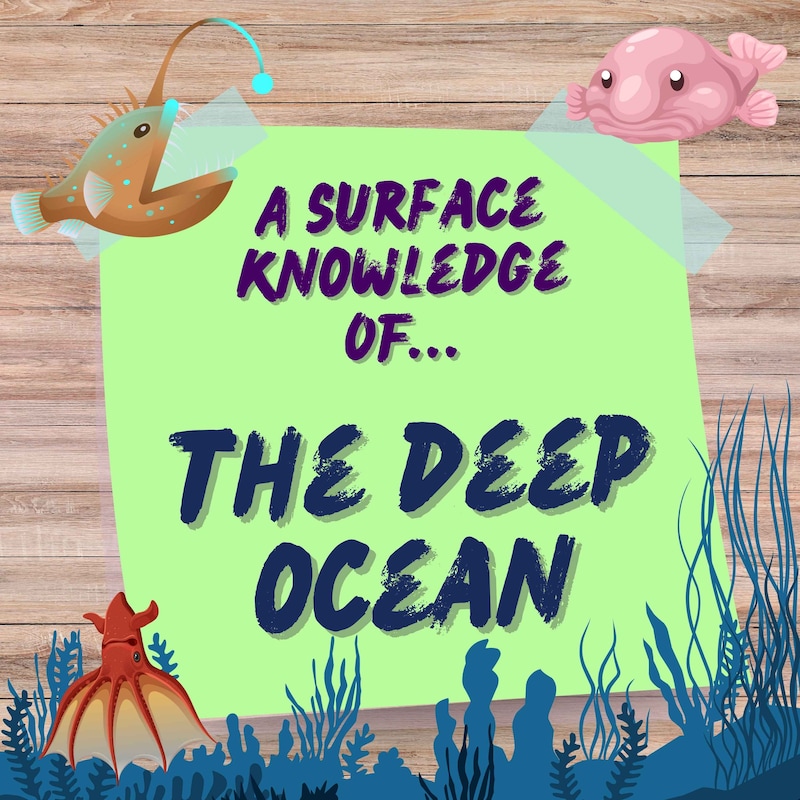 Artwork for podcast Surface Knowledge