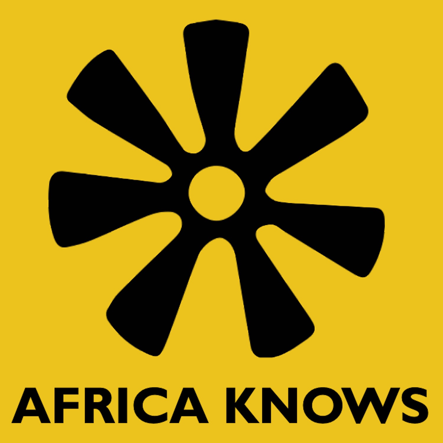 Show artwork for Africa Knows