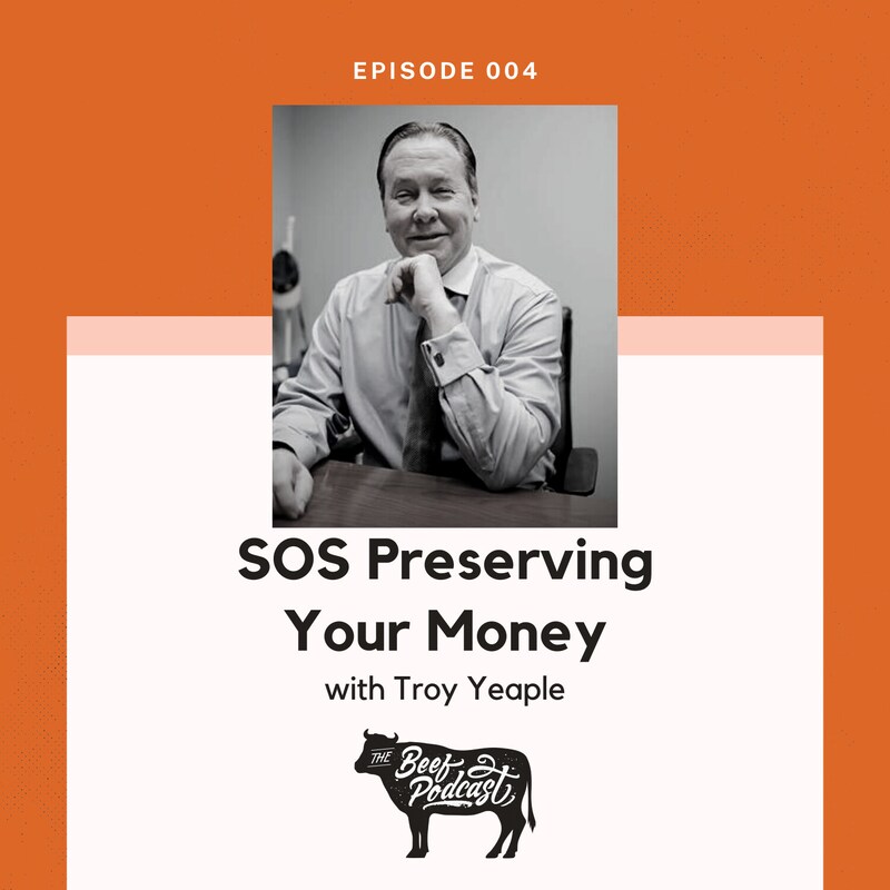 Artwork for podcast Small Business Origins