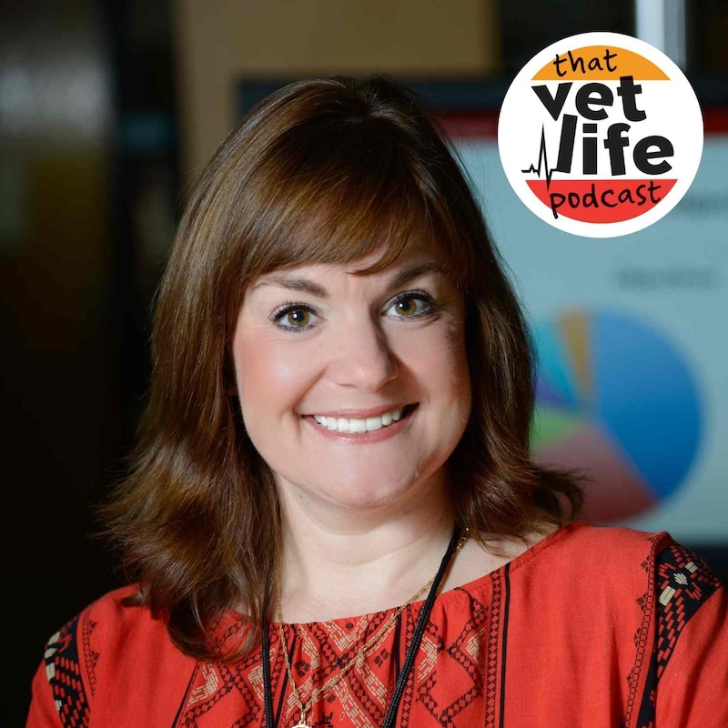 Artwork for podcast The 'So You're A Vet... Now What?' Podcast