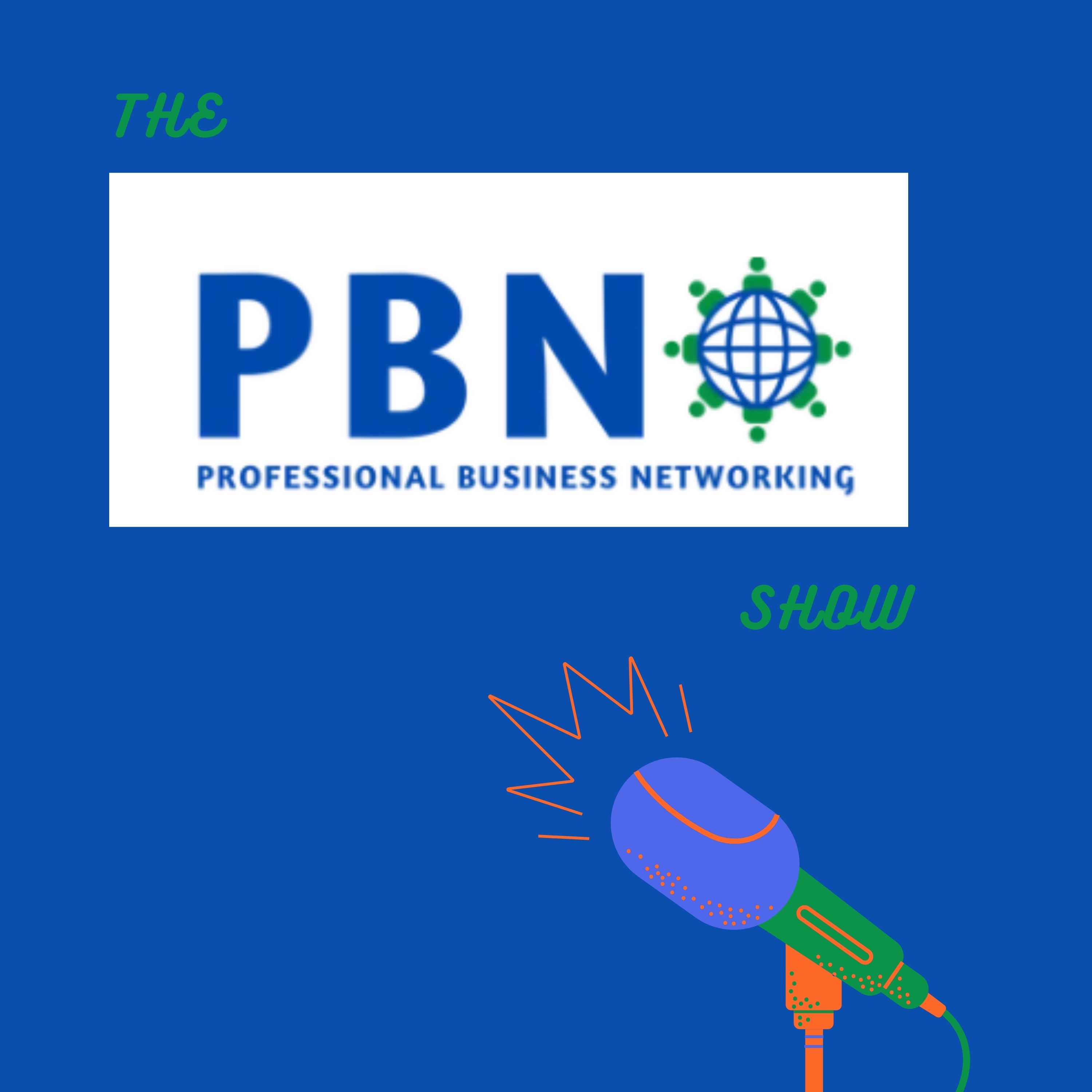 Artwork for The Professional Business Networking Show