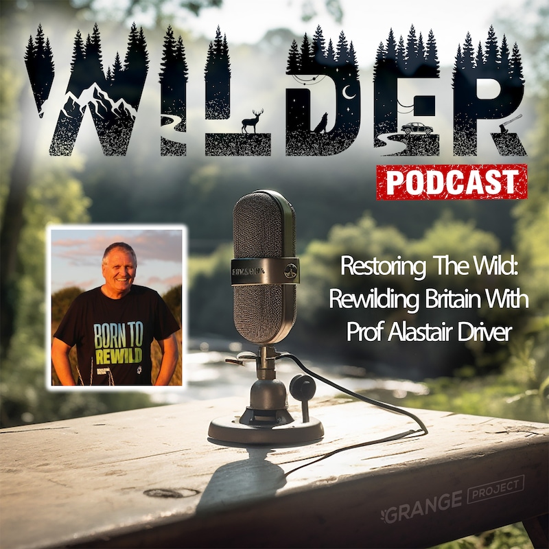 Artwork for podcast Wilder Podcast