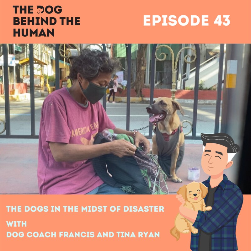 Artwork for podcast The Dog Behind The Human