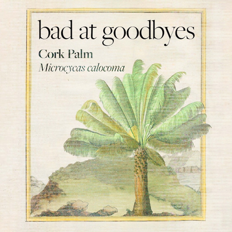 Artwork for podcast Bad at Goodbyes