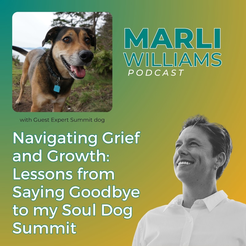 Artwork for podcast Marli Williams