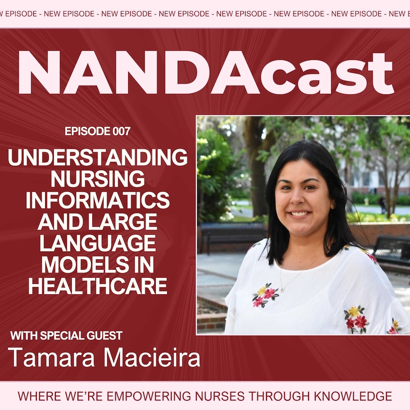 Artwork for podcast NANDAcast