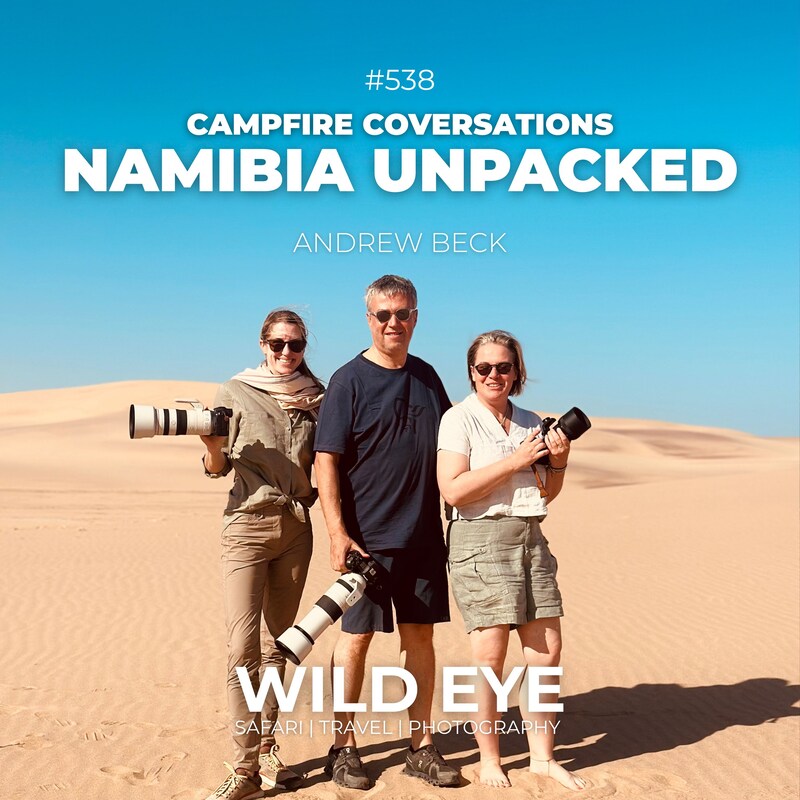 Artwork for podcast The Wild Eye Podcast