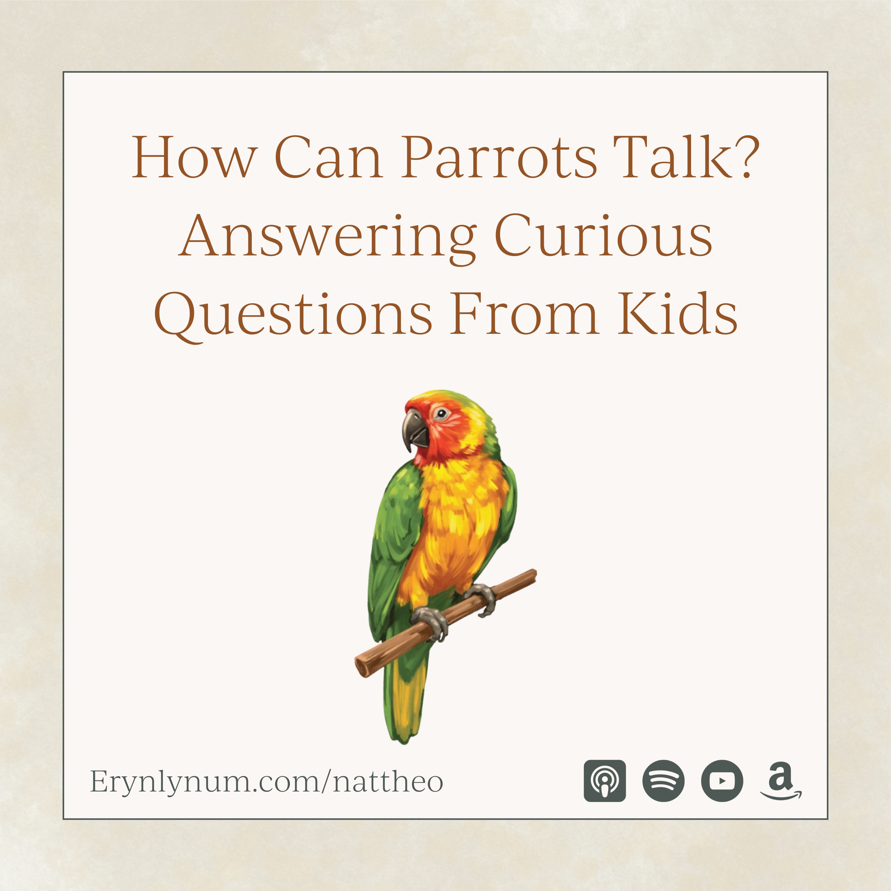 How Can Parrots Talk? Answering Curious Questions From Kids