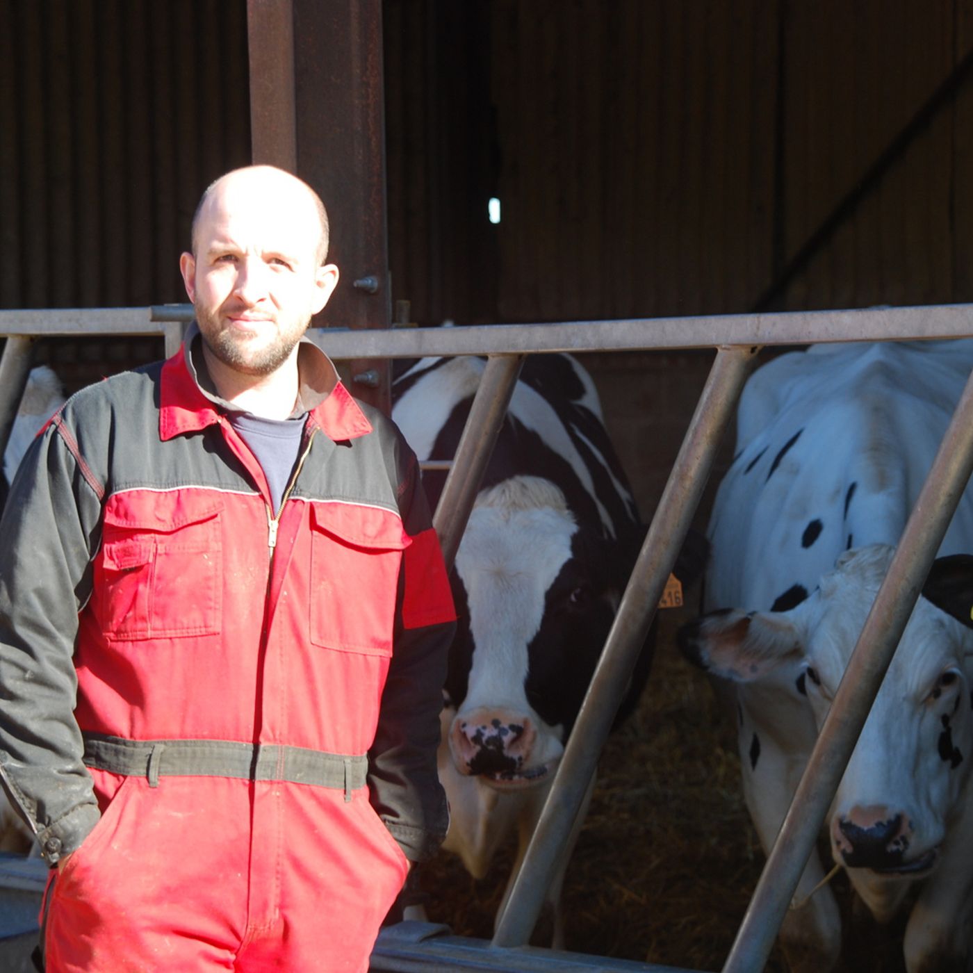 72: Breeding policies and the use of sexed semen