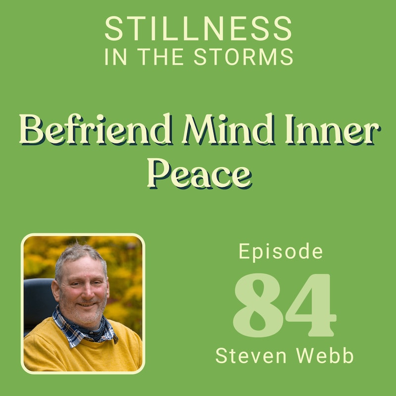 Artwork for podcast Stillness in the Storms