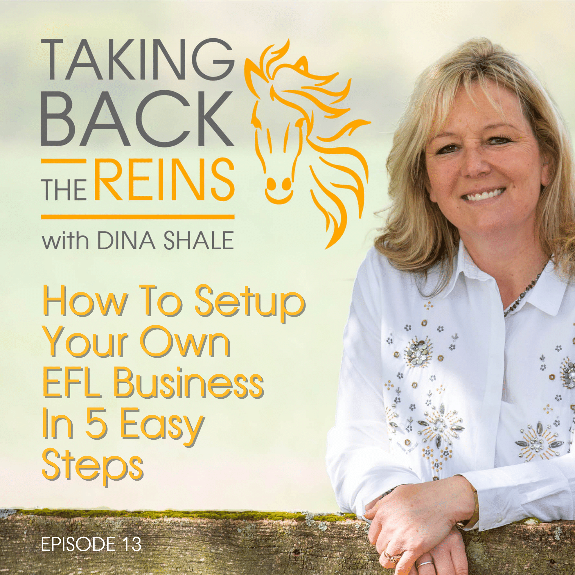 013 How to set up your own EFL Business in 5 easy steps episode artwork
