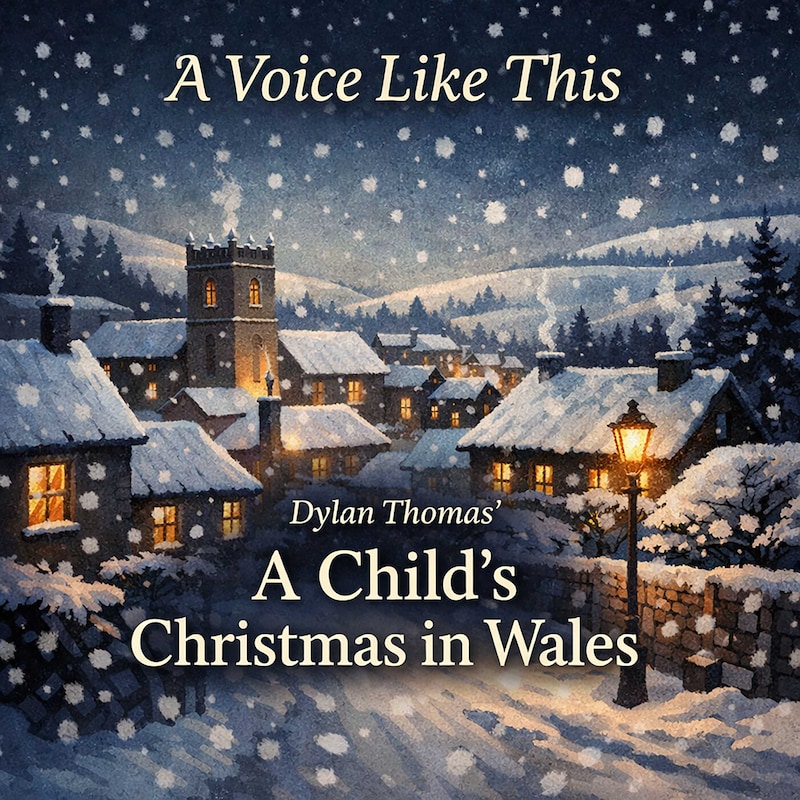 Artwork for podcast A Voice Like This