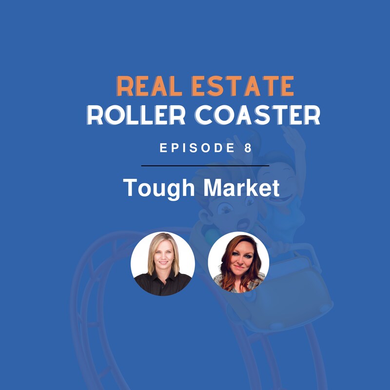 Artwork for podcast Real Estate Roller Coaster