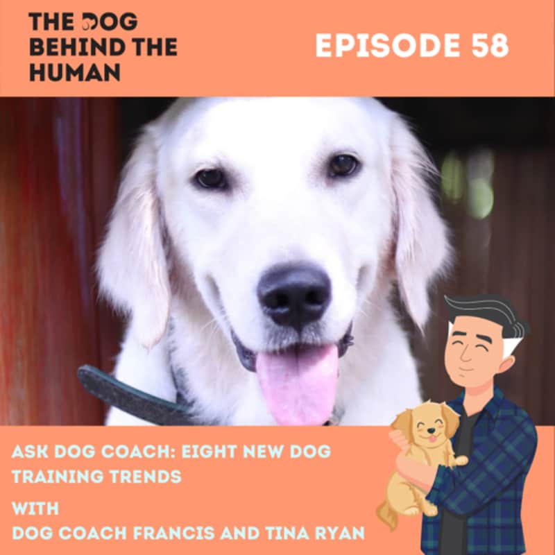Artwork for podcast The Dog Behind The Human