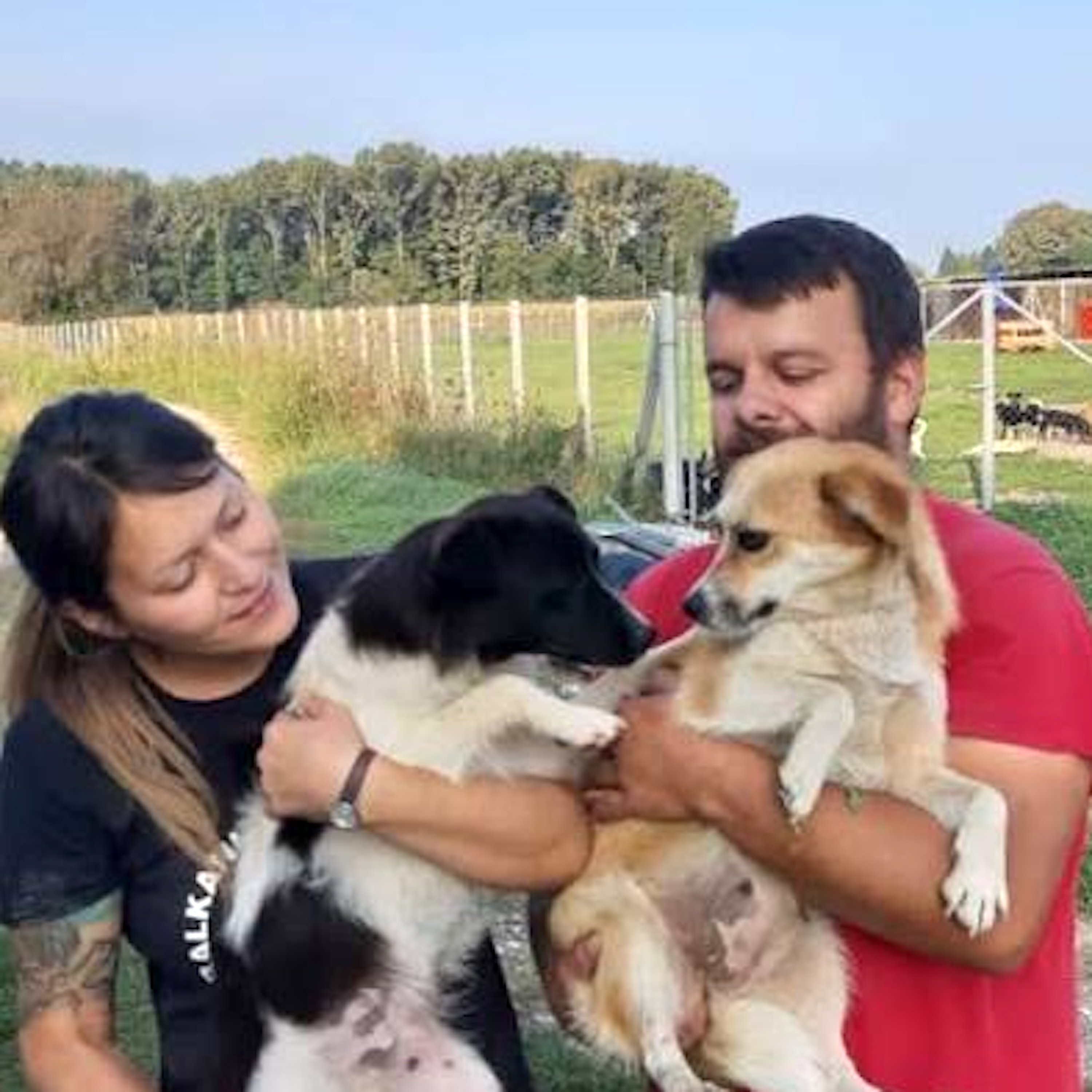 Inside the Suny Shelter | Saving Nearly 200 Dogs in Bosnia and Herzegovina episode artwork