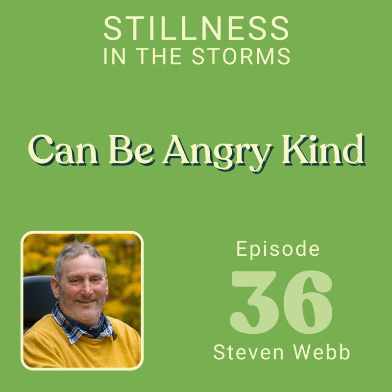 Artwork for podcast Stillness in the Storms