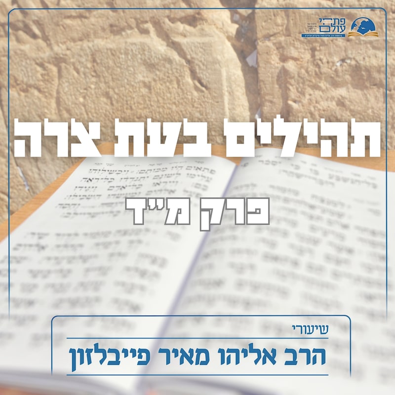 Artwork for podcast שיעורי הרב פייבלזון