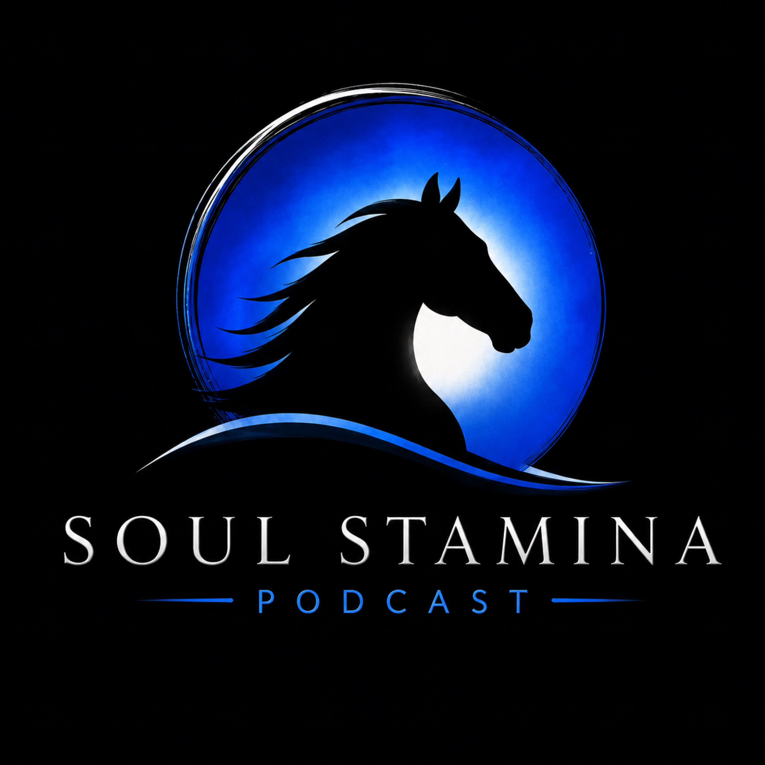Artwork for Soul Stamina Podcast