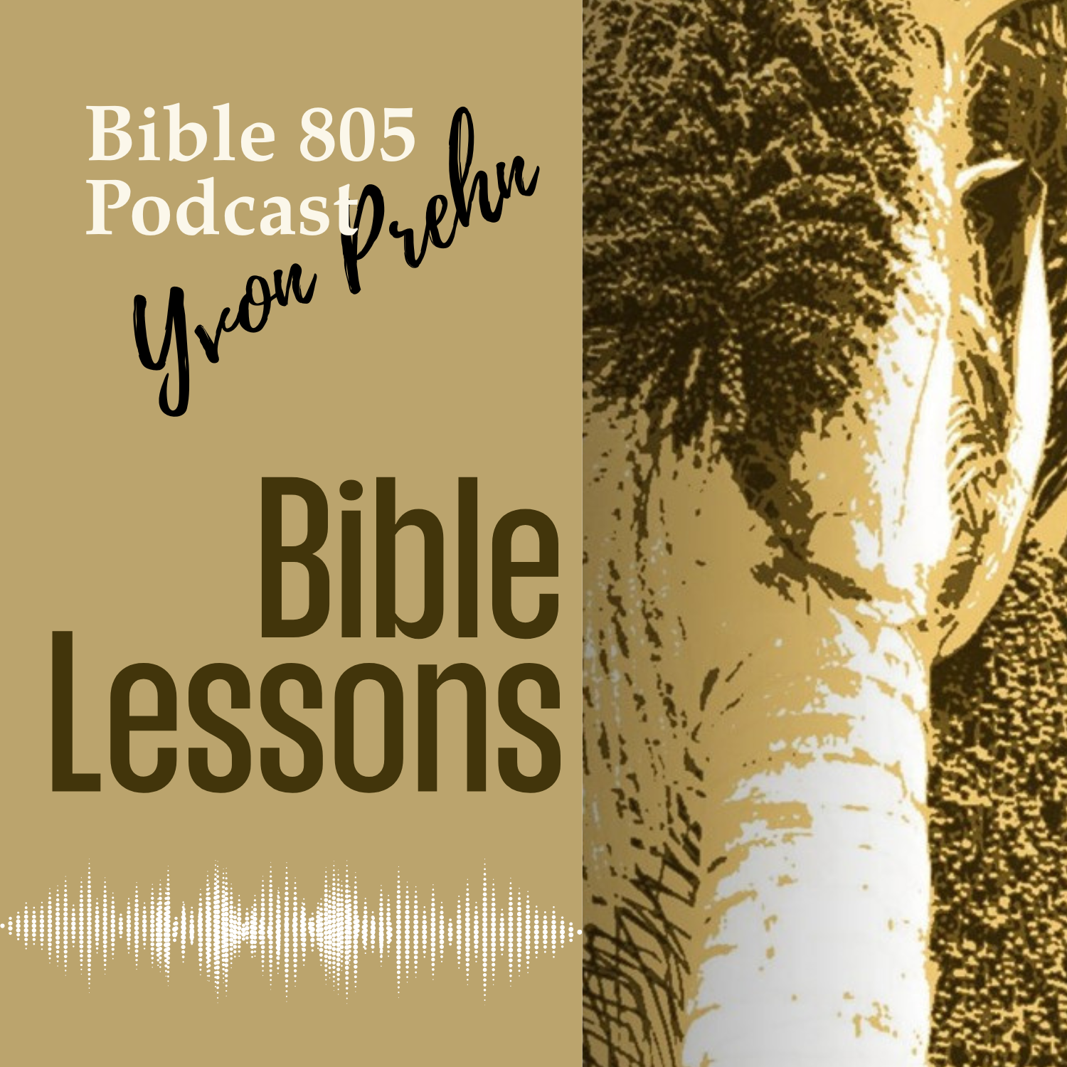 Bible Lessons from Yvon Prehn & Bible805