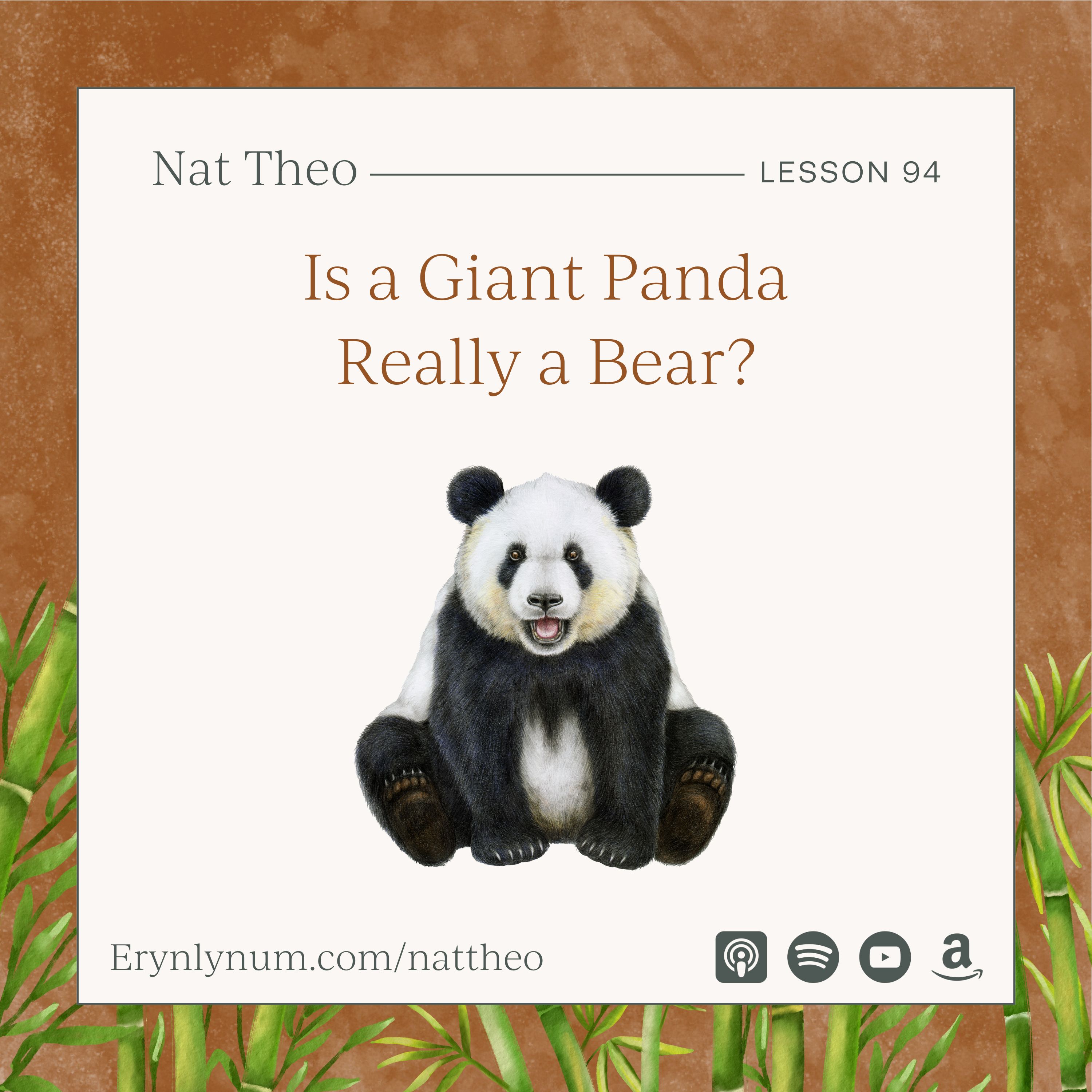 Is a Giant Panda Really a Bear? Lesson 94