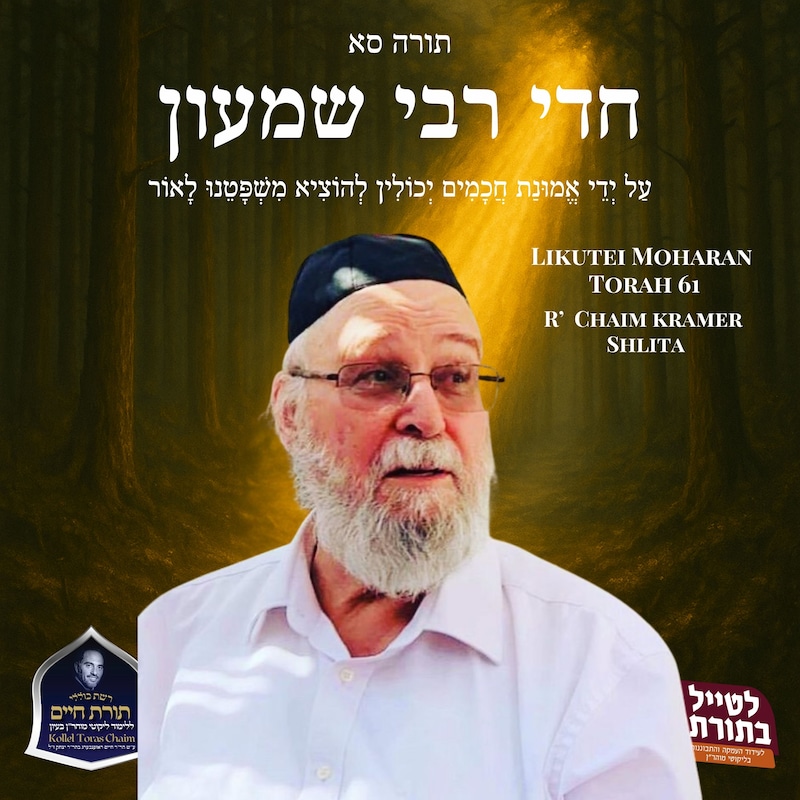 Artwork for podcast Kollel Toras Chaim All Shiurim