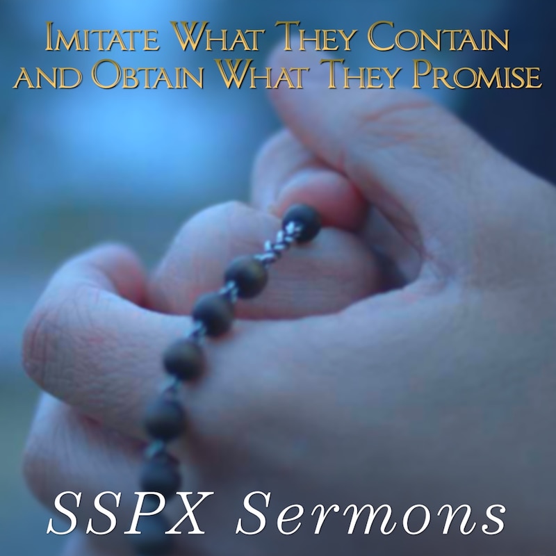 Artwork for podcast SSPX Sermons