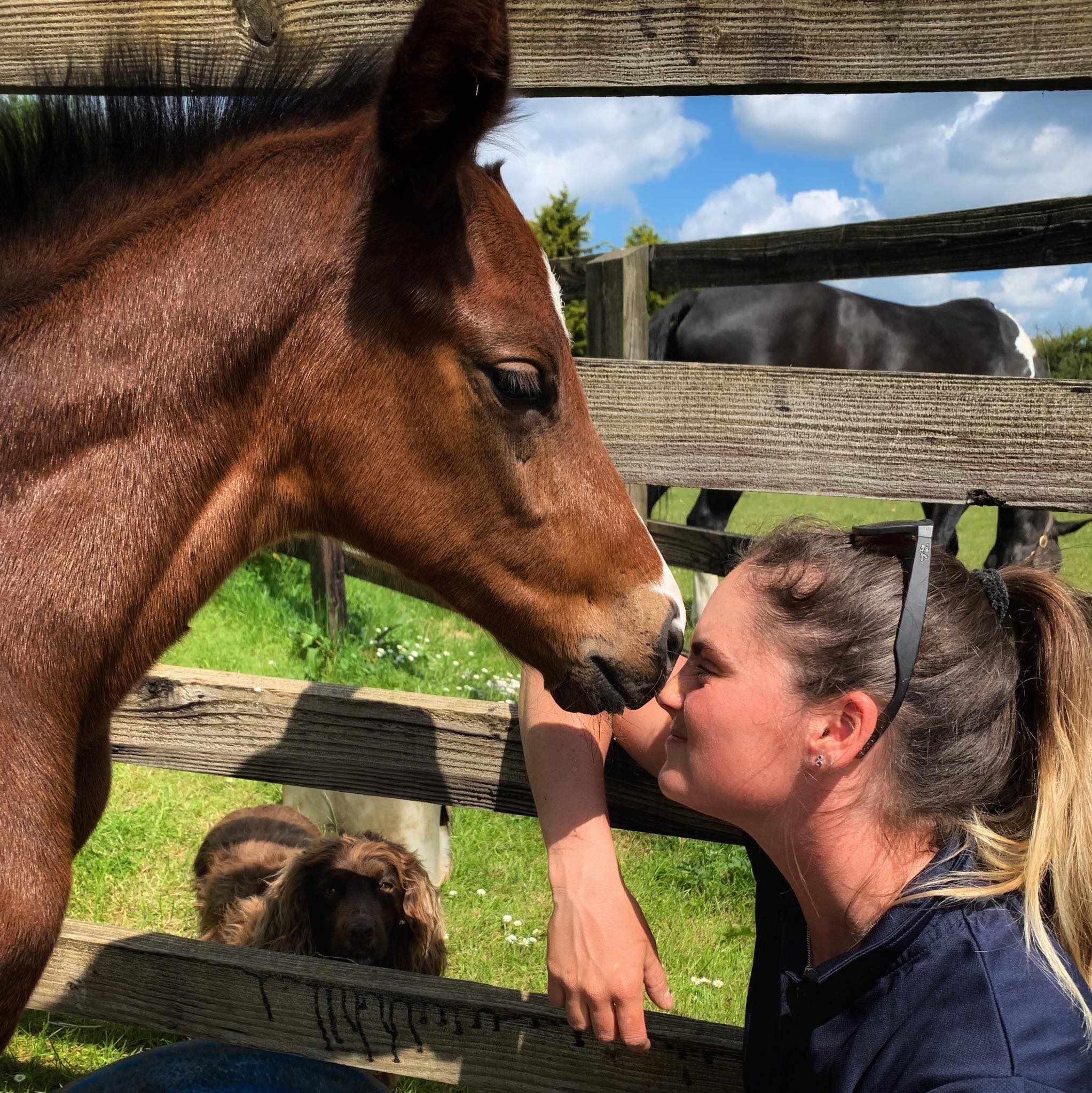 Retired Racehorse Radio
