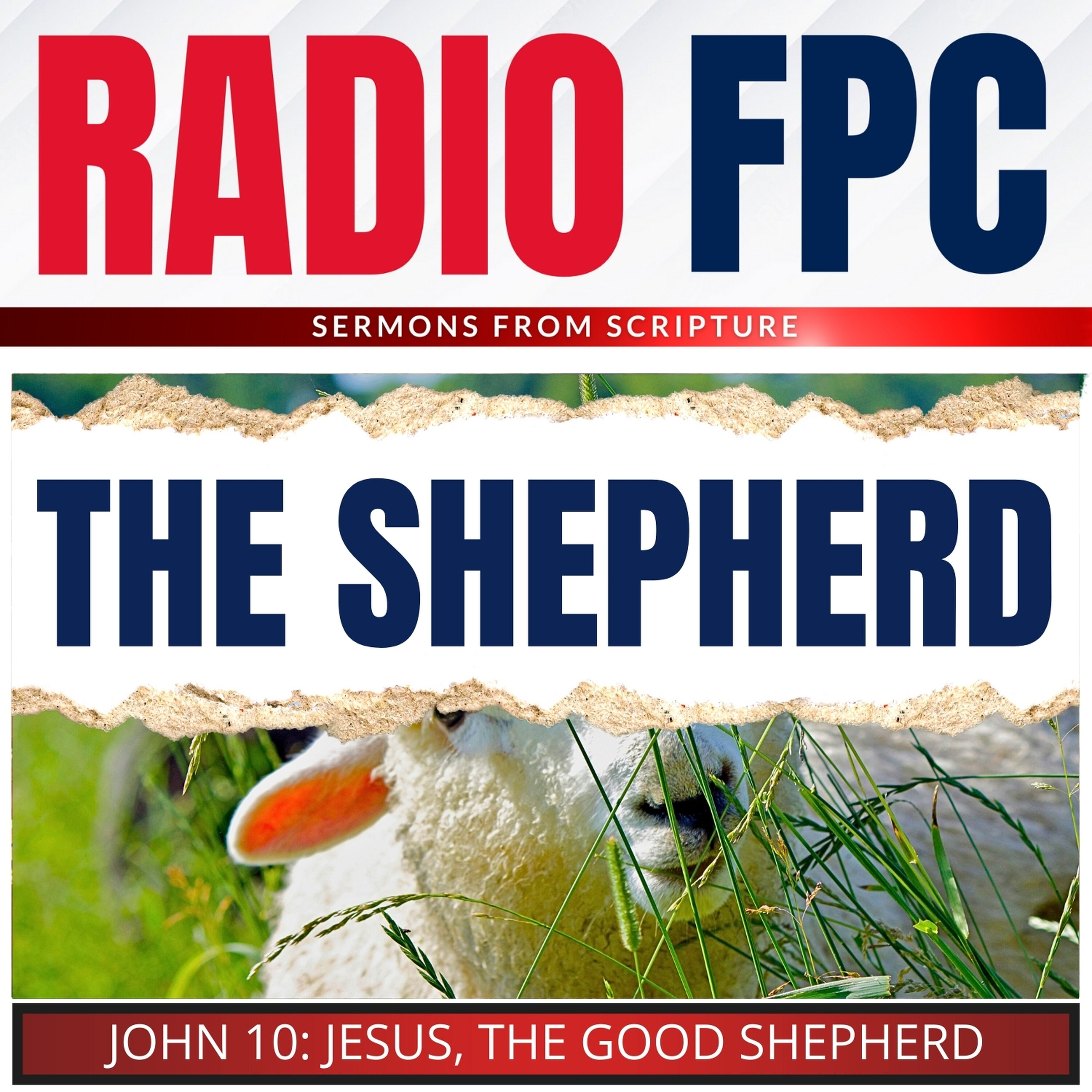 John: The Good Shepherd (And The Wolves)