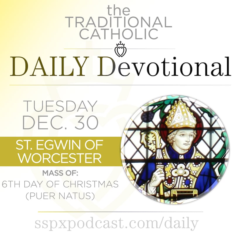 Artwork for podcast Traditional Catholic Daily Devotional