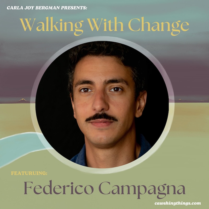 Artwork for podcast Walking With Change
