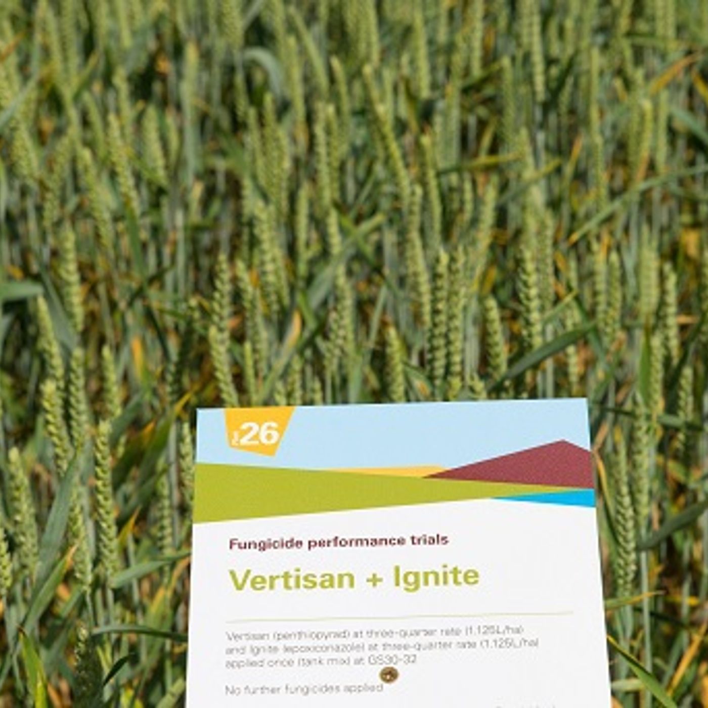 19: Planning your fungicide programme
