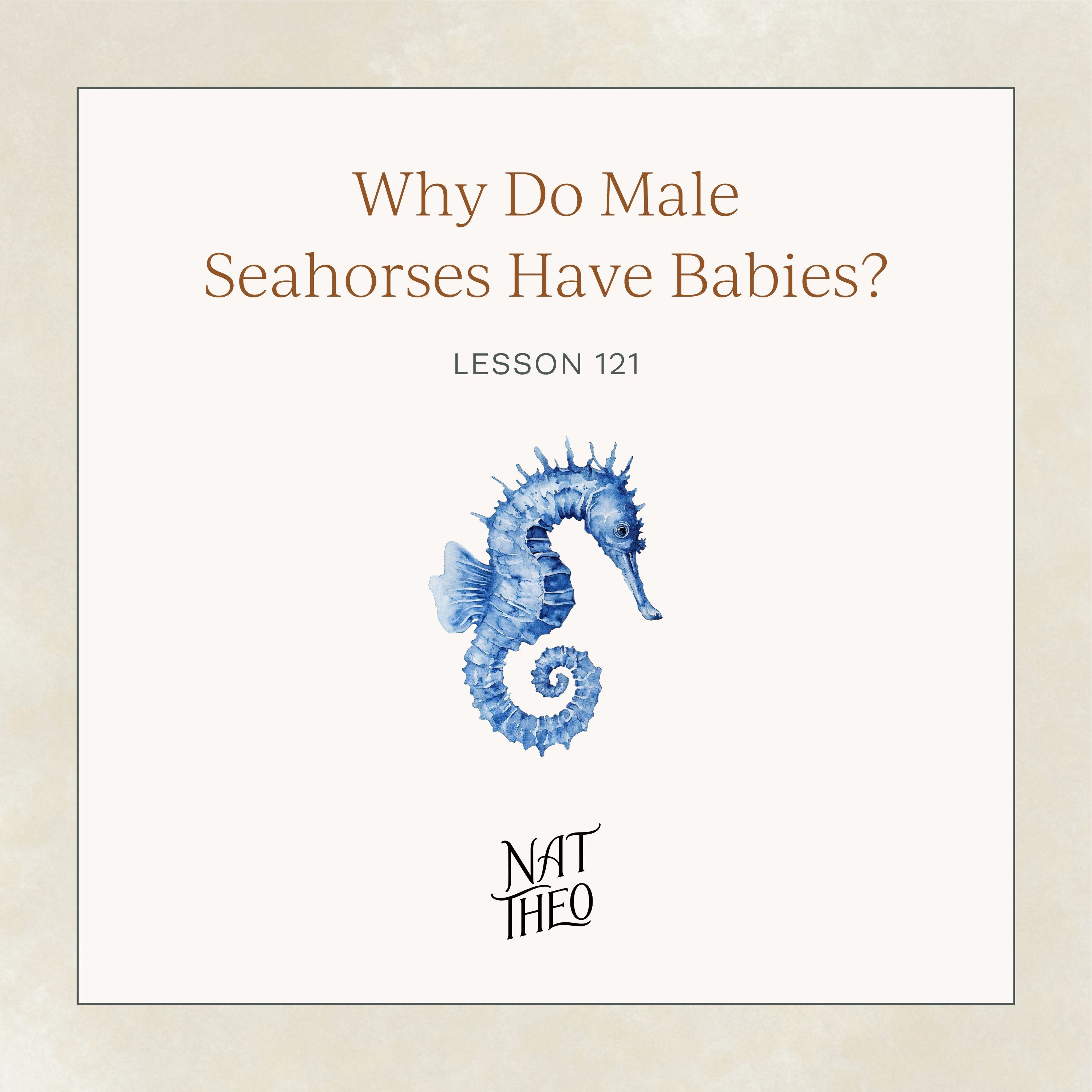 Why Do Male Seahorses Have Babies? Lesson 121